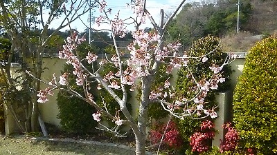 平成29年10月09日